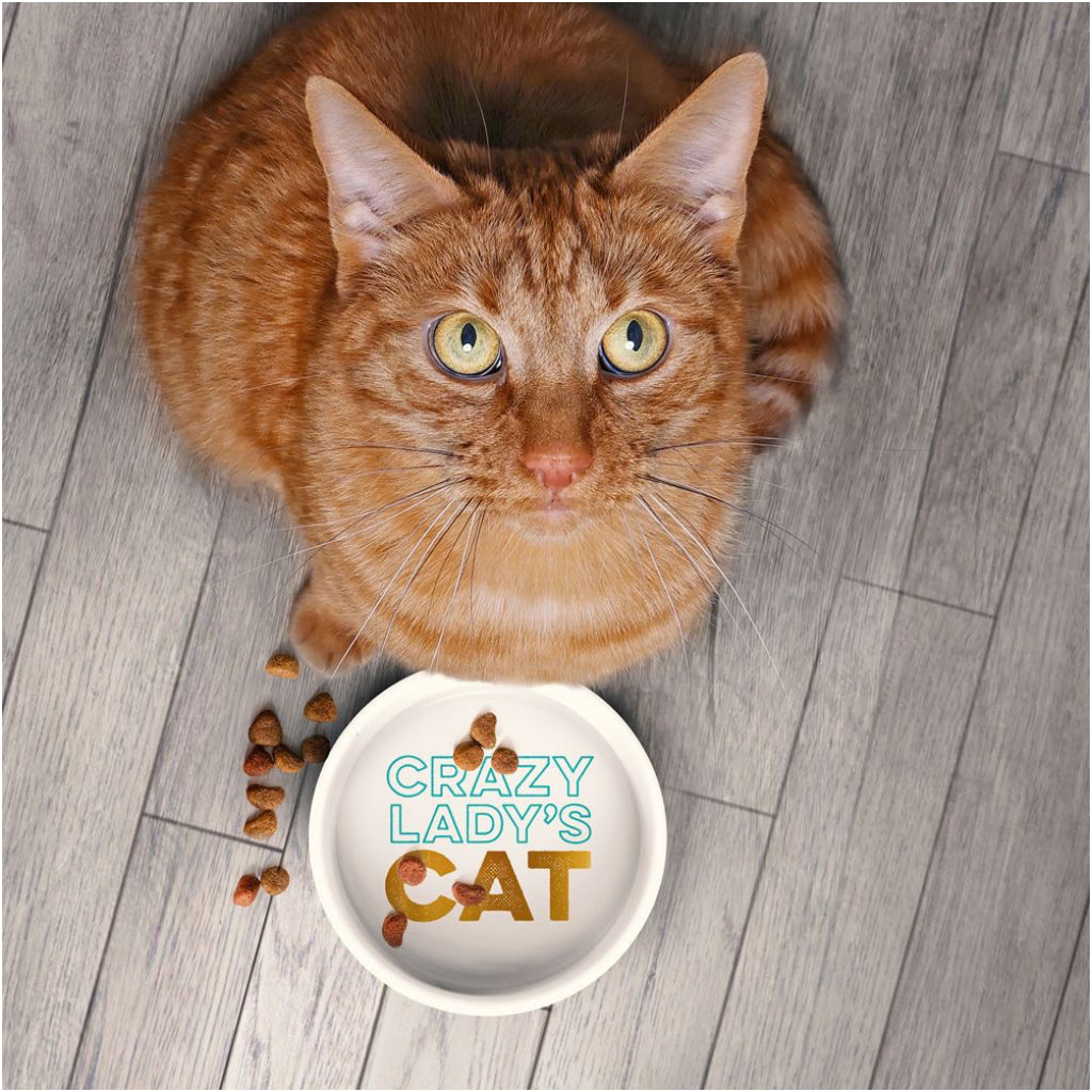 Crazy Cat Lady Ceramic Cat Bowl 