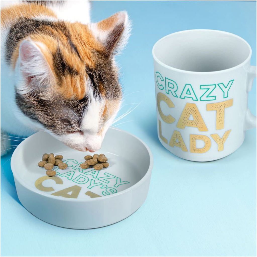Crazy Cat Lady Ceramic Mug & Cat Bowl Set Side by Side