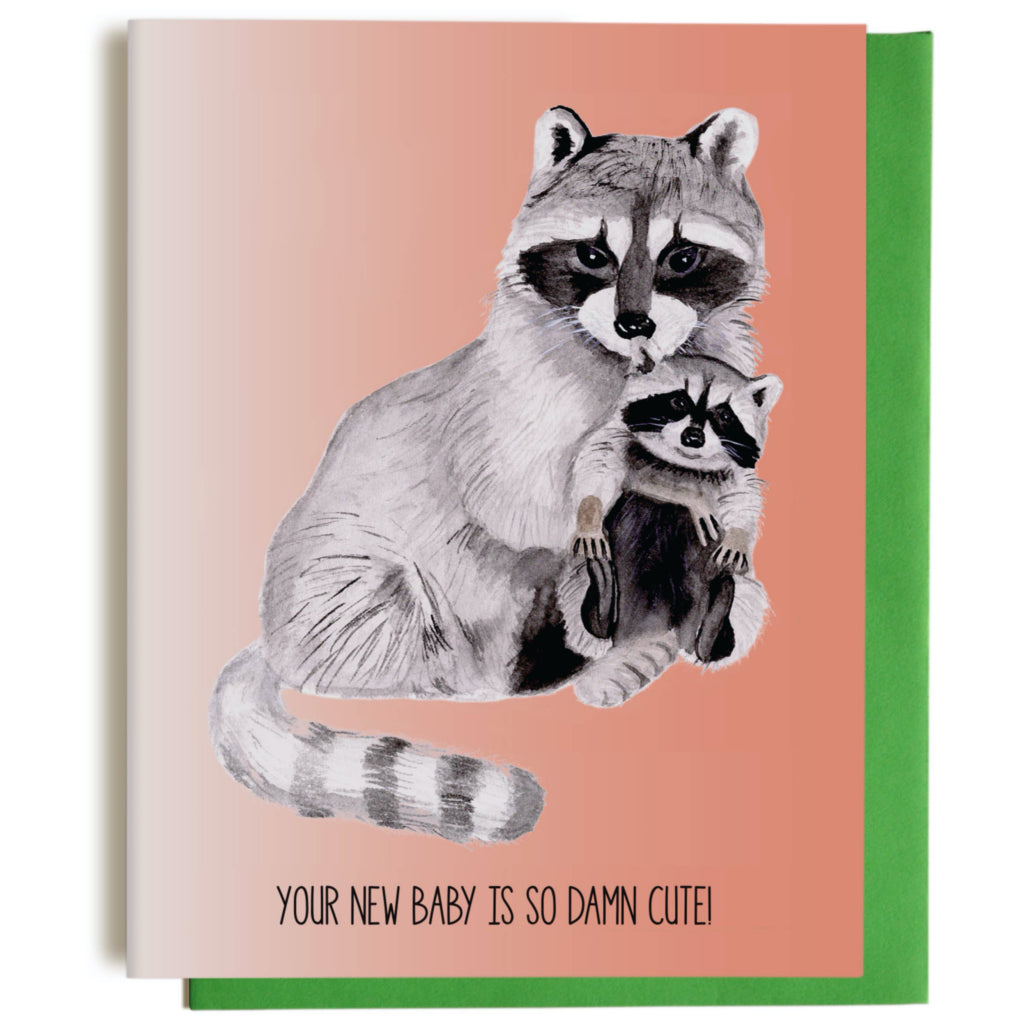 Cute Raccoon New Baby Card