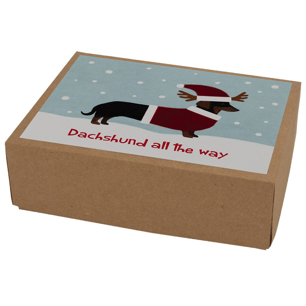 Packaging of Dachshund All The Way Boxed Christmas Cards.