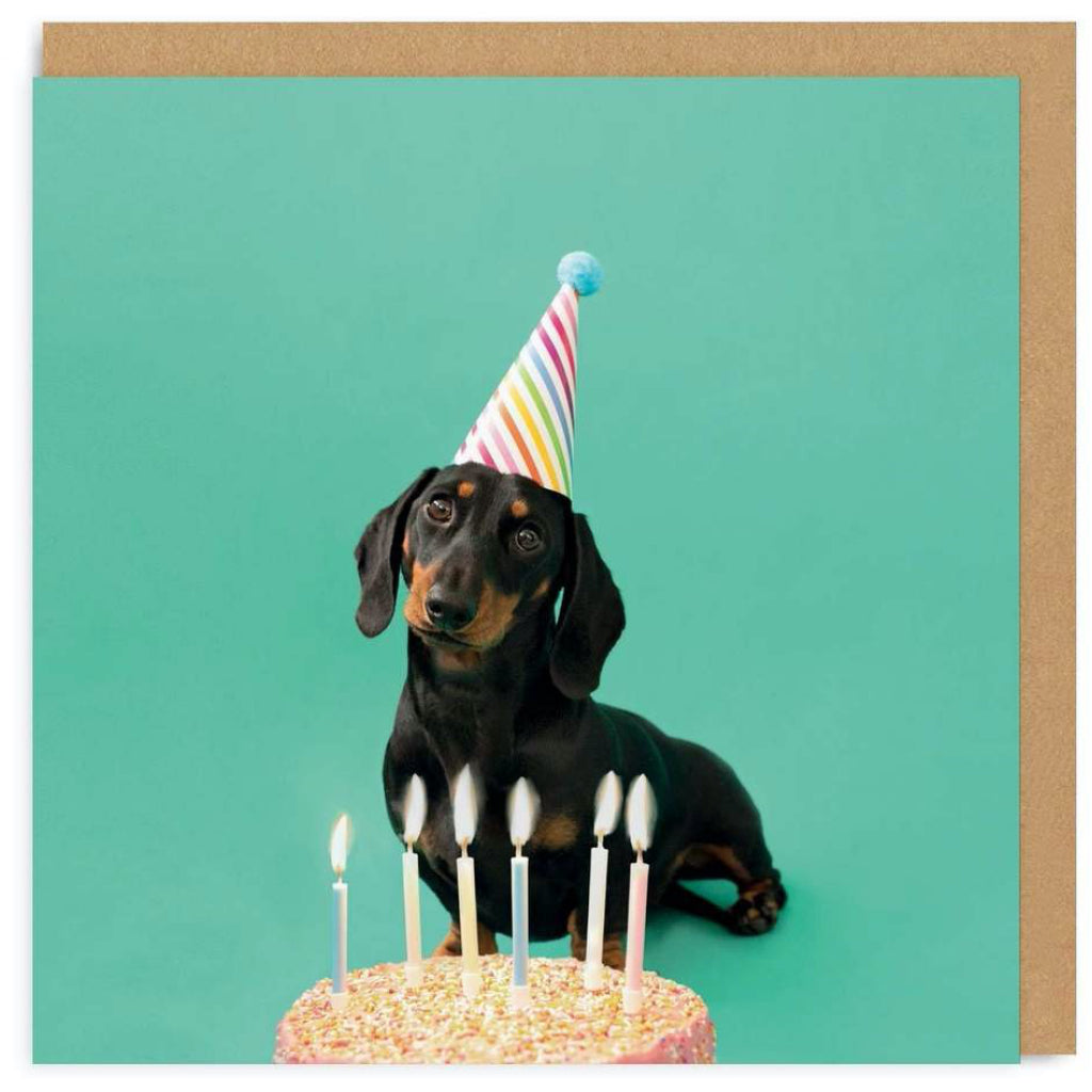 Dachshund With Party Hat Birthday Card.