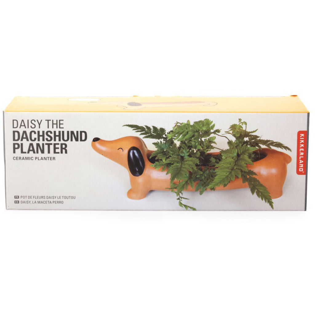 Daisy The Dachshund Planter Packaged