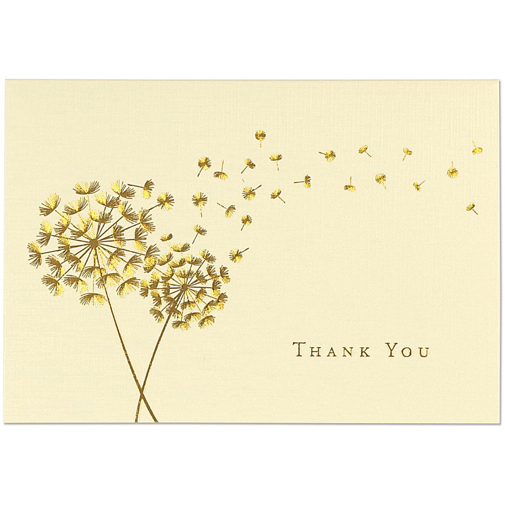Dandelion Wishes Thank You Boxed Cards.