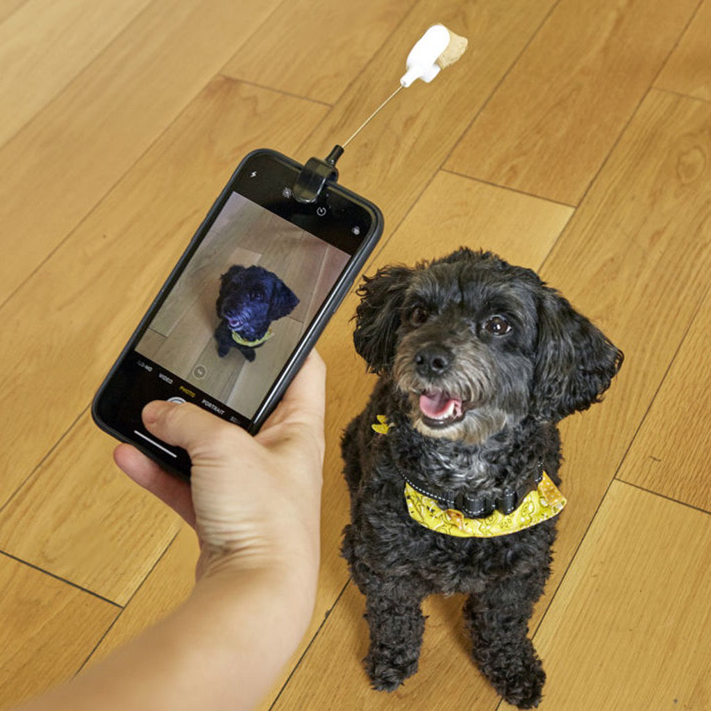 Dog Treat Selfie Clip In Use