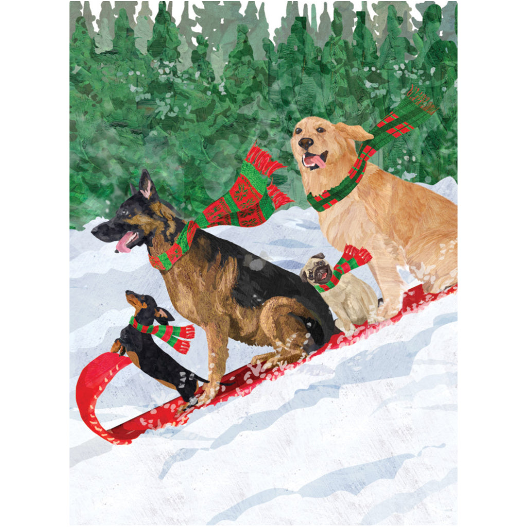 Dogs Tobogganing Boxed Holiday Cards