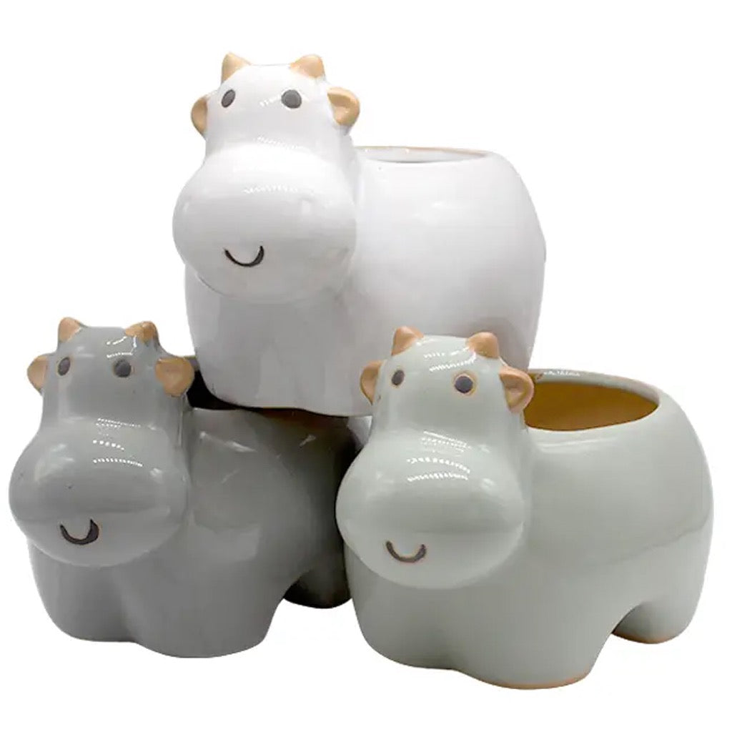 Glazed Hippo Planter Pot