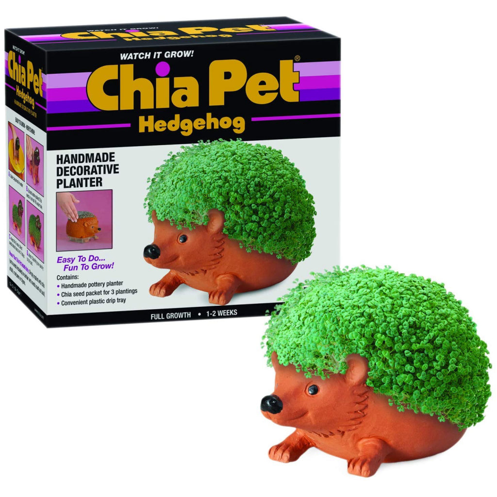 Hedgehog Chia