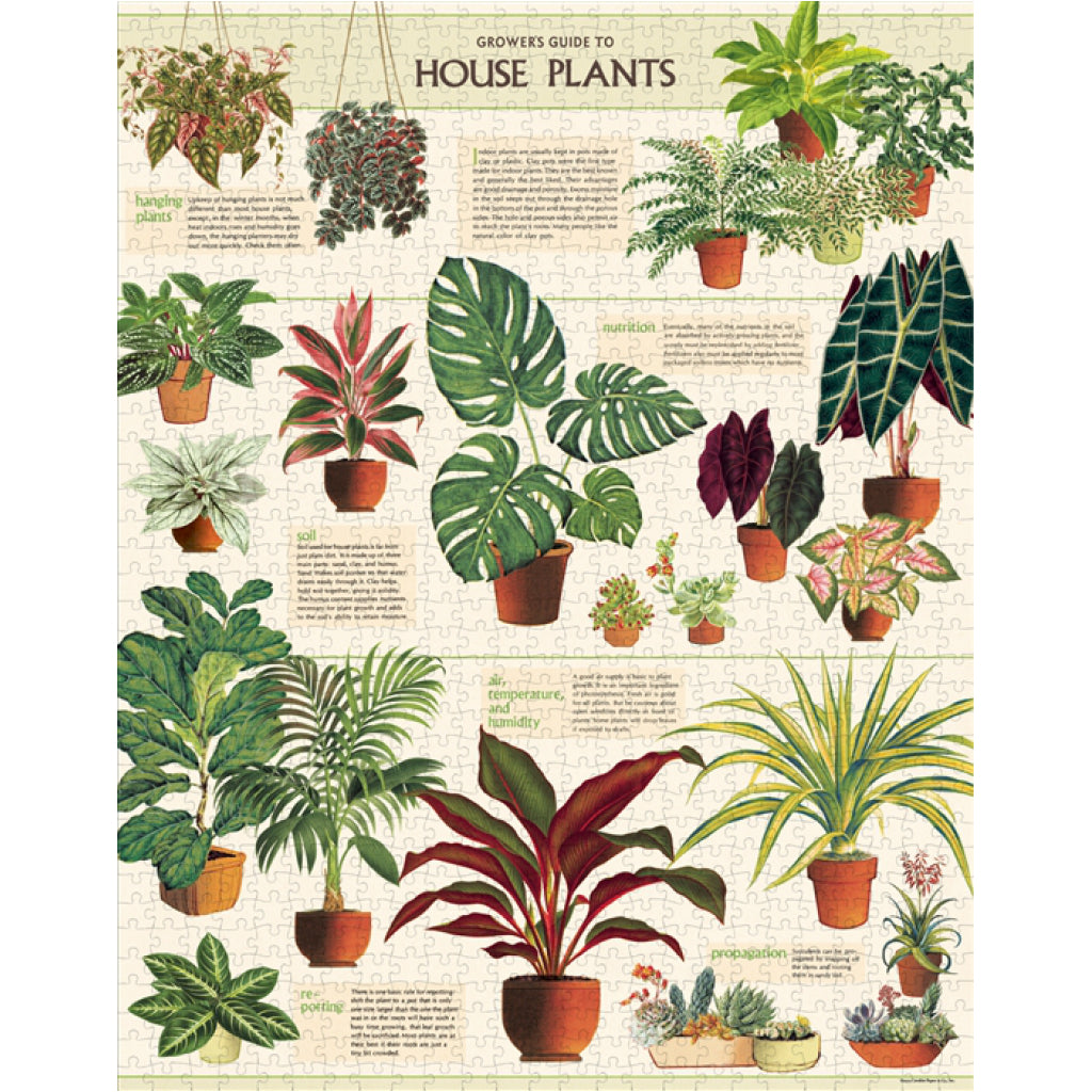 House Plants 1000 Piece Puzzle Completed