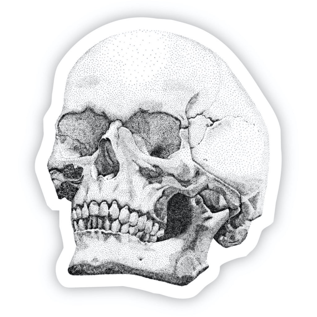 Human Skull Sticker