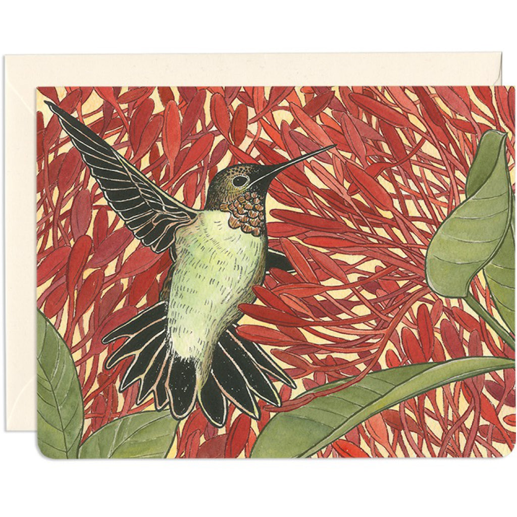 Hummingbird Healer Card