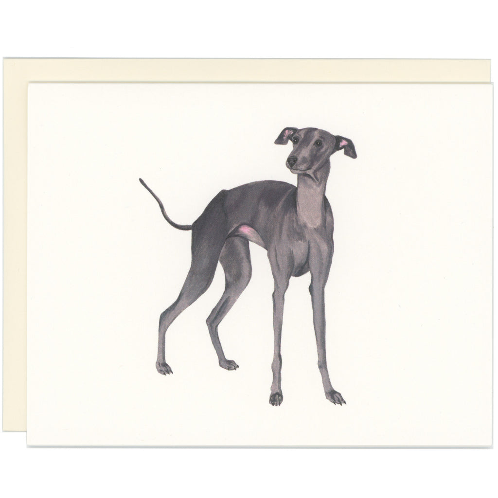 Italian Greyhound Dog Card