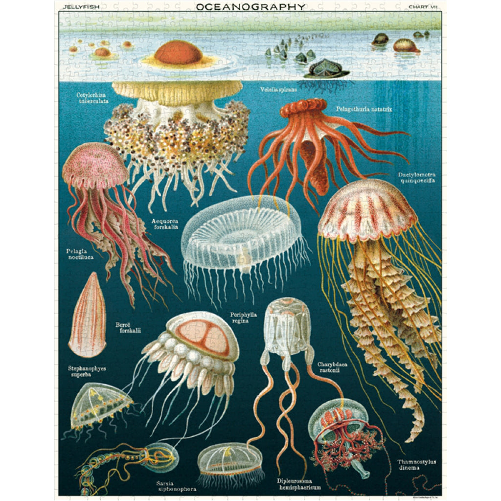 Jelly Fish 1000 Piece Puzzle Completed