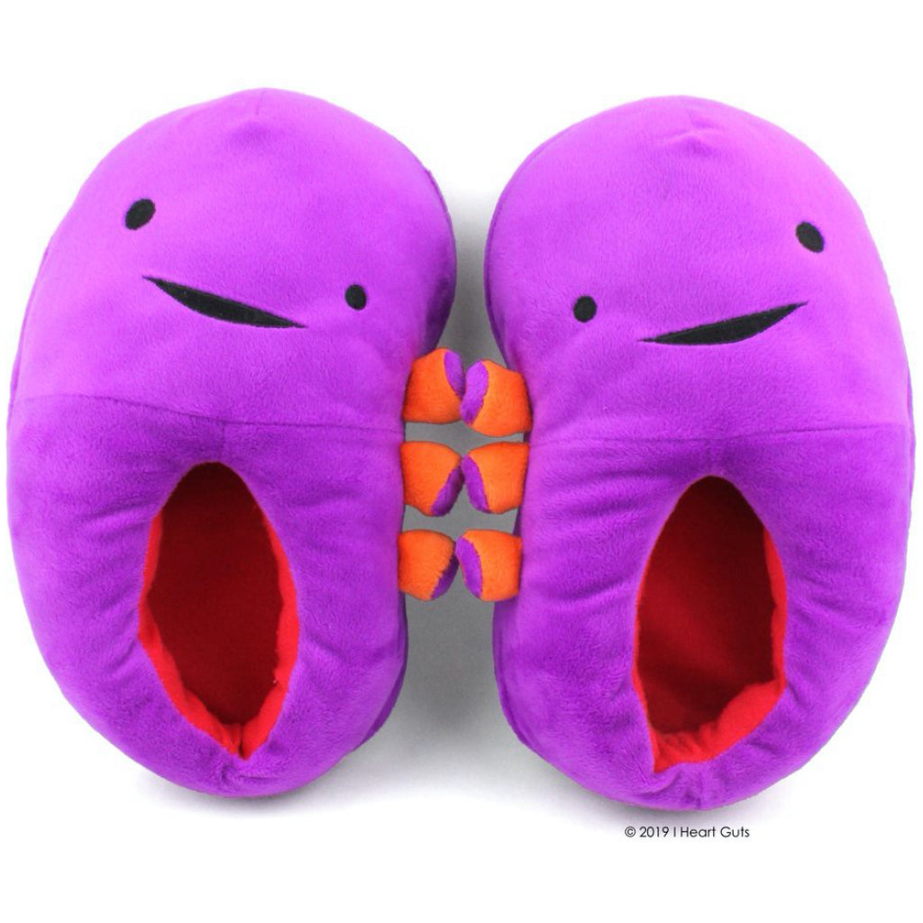 Kidney Slippers Top view