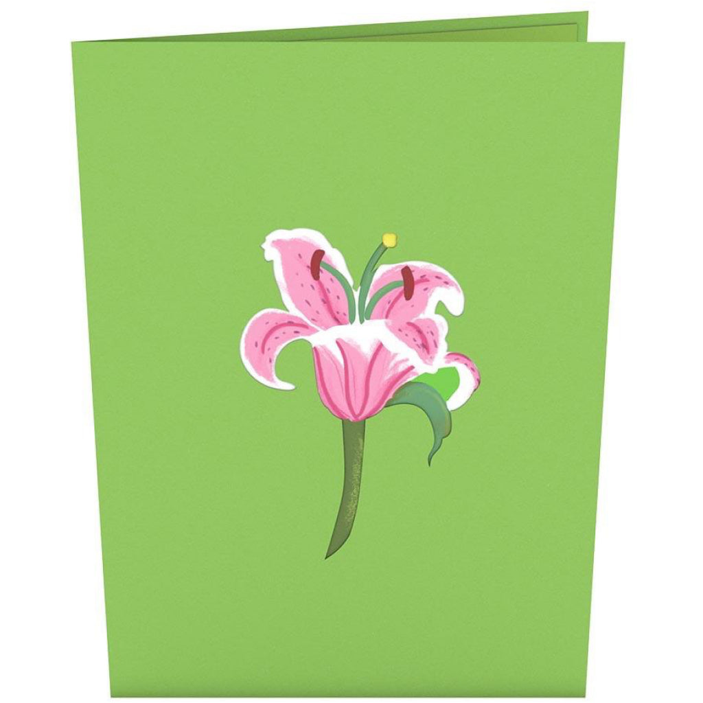 Lily Bloom 3D Pop Up Card Cover