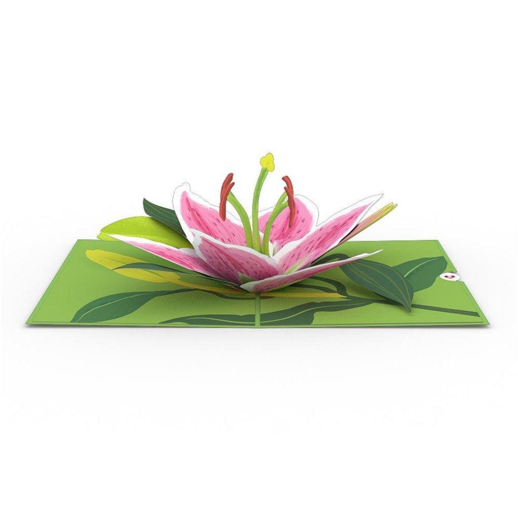 Lily Bloom 3D Pop Up Card Full view