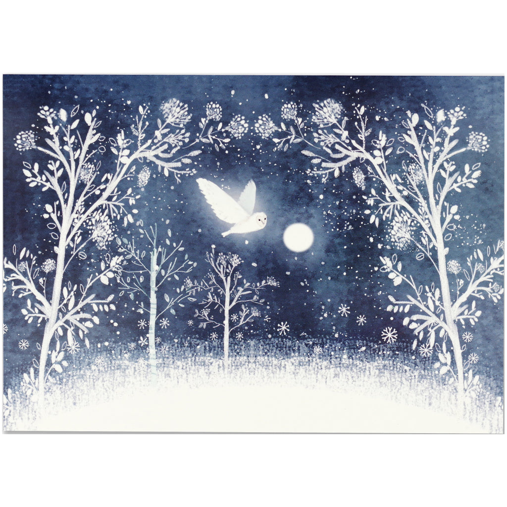 Moonlit Owl Deluxe Boxed Holiday Cards