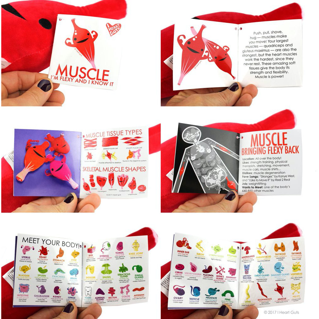 Muscle Plush Booklet