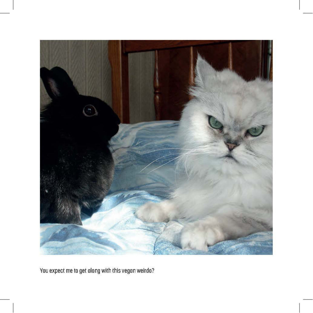 Sample of My Cat Is A Dick.