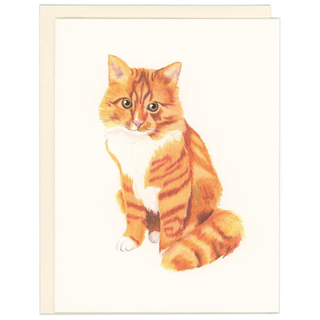 Orange Tabby Cat Card