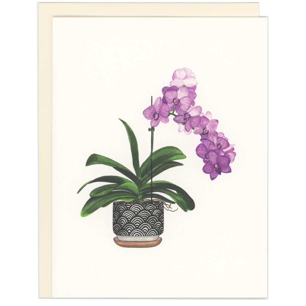 Orchid Plant Card