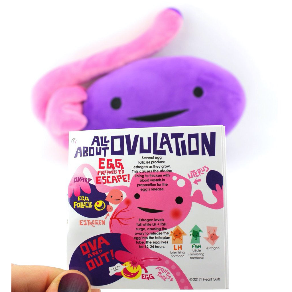 Ovary Plush Booklet