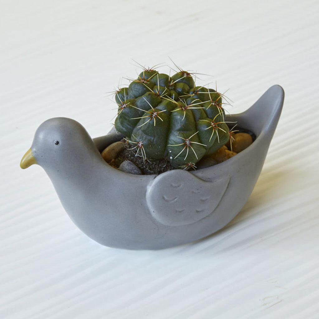 Pepper The Pigeon Planter In Use