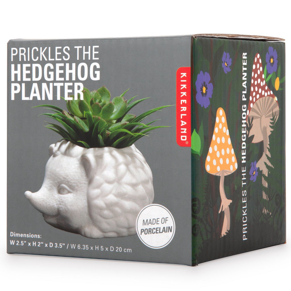 Packaging of Prickles The Hedgehog Planter.