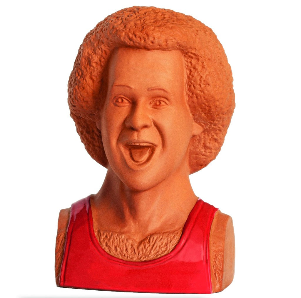 Richard Simmons Chia Planter