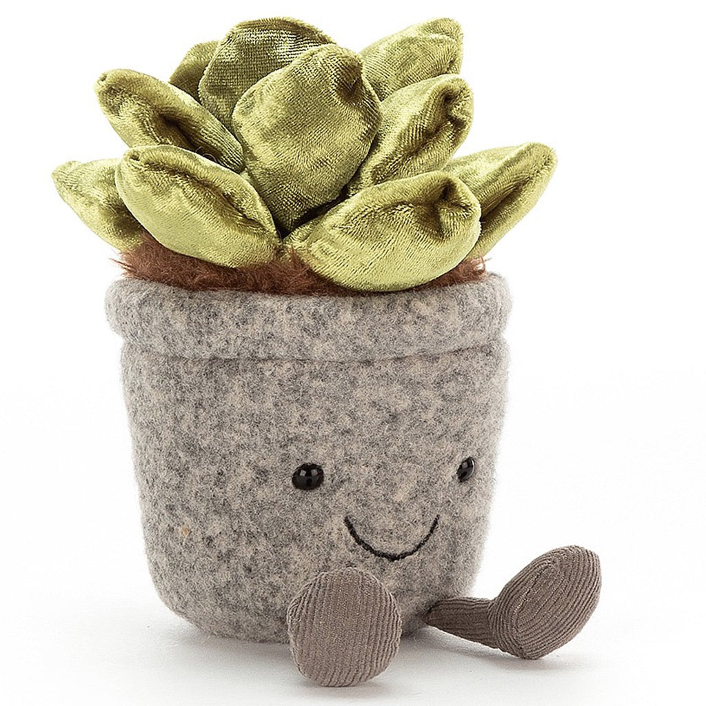 Silly Succulent Jade