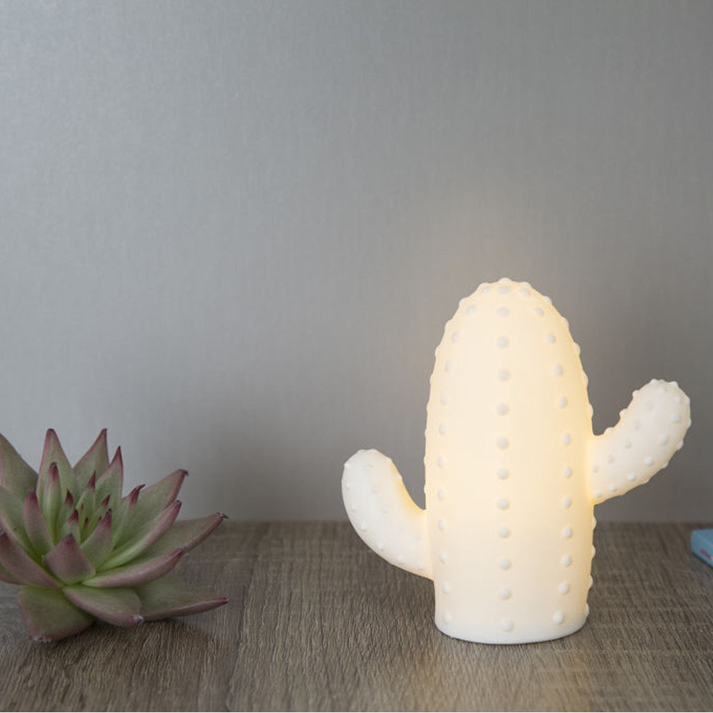 Small Cactus LED Light In Use