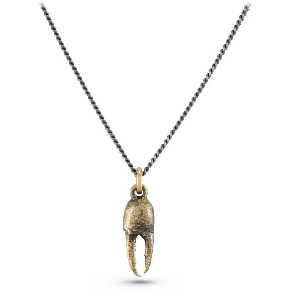 Small Crab Claw Necklace Bronze