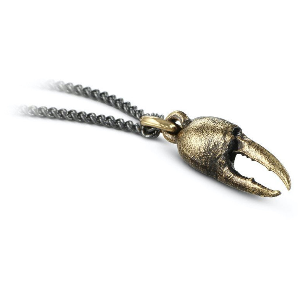 Small Crab Claw Necklace Bronze Close up