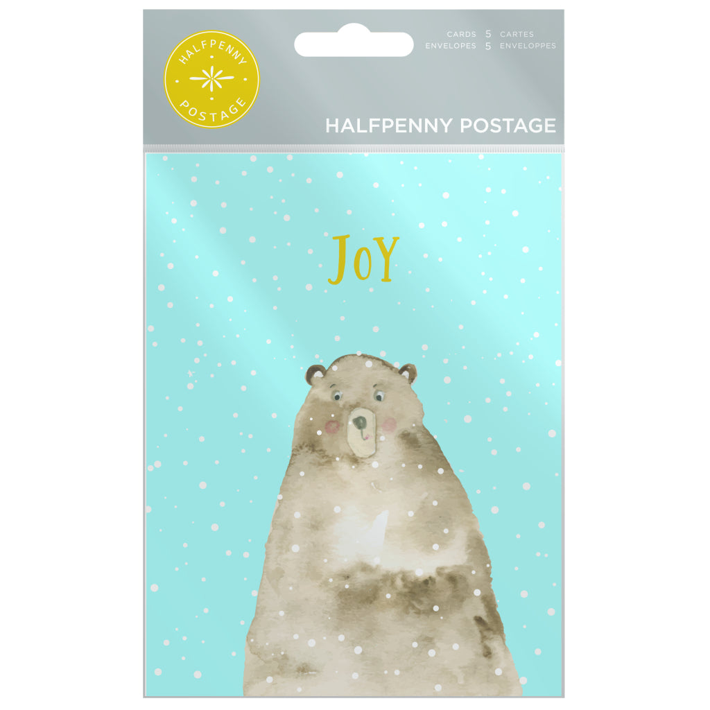Snowy Bear Cello Pack of Cards Packaging