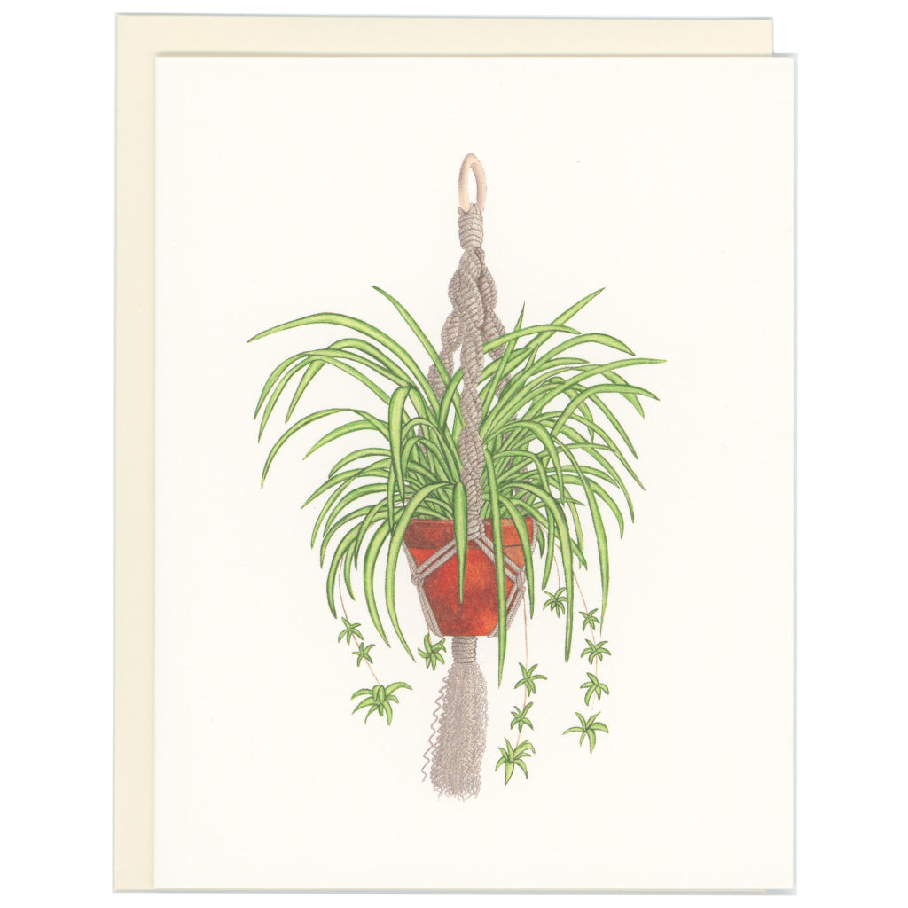 Spider Plant Card