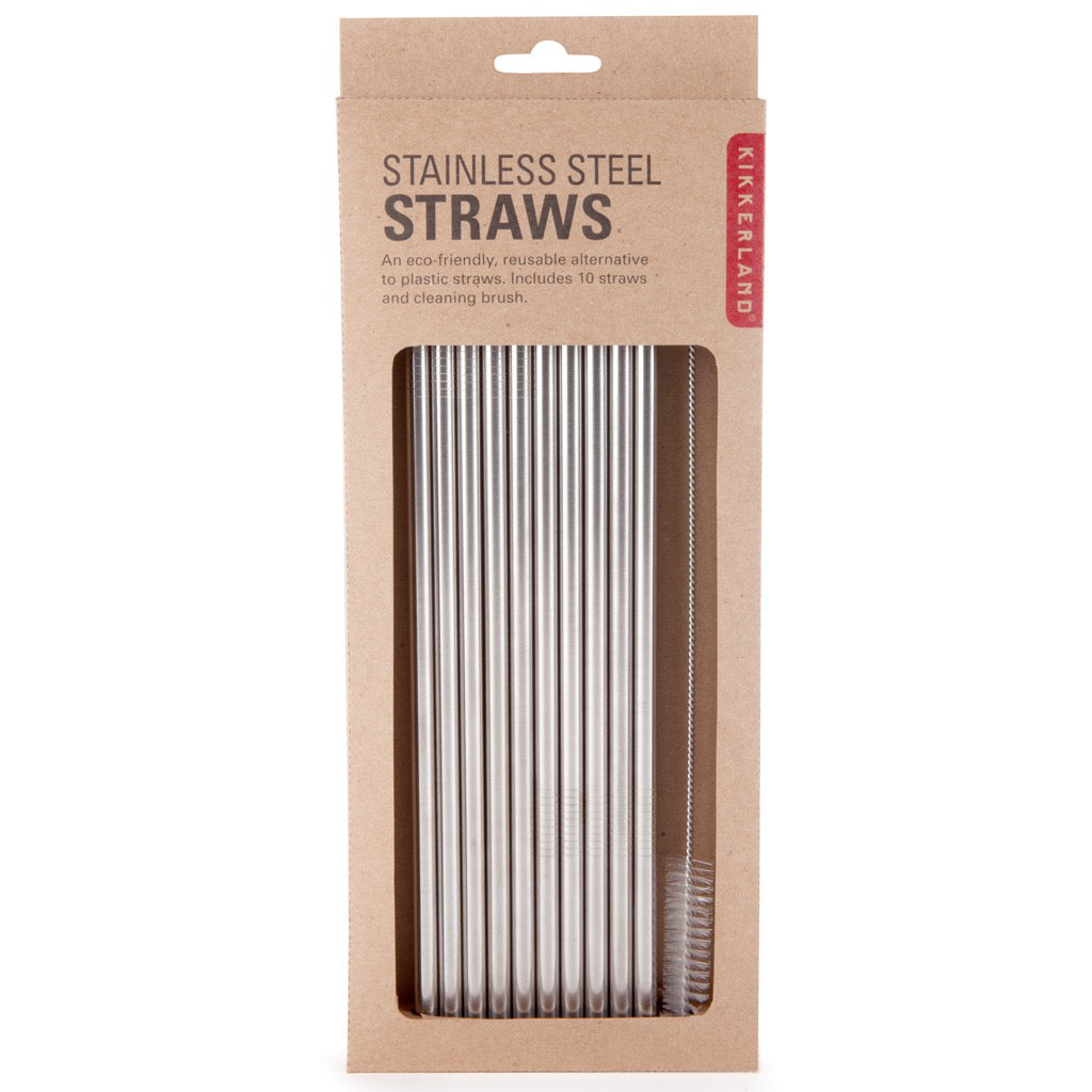 Stainless Steel Straws Set of 10