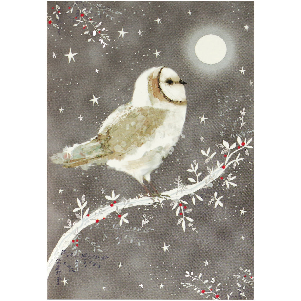 Starry Night Owl Boxed Holiday Cards
