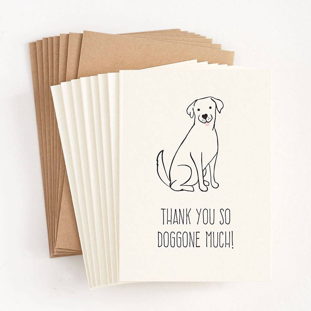 Thank You So Doggone Much Boxed Cards