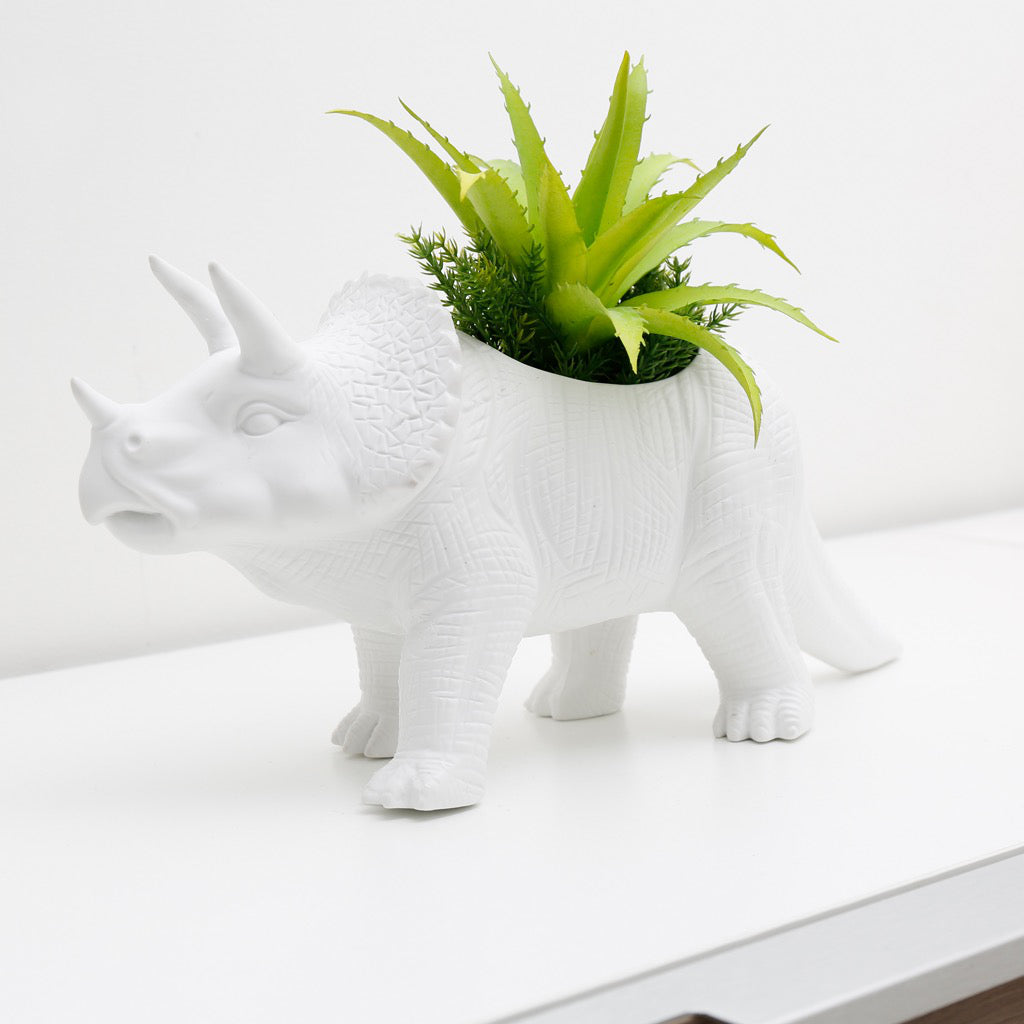 Triceratop Planter on ledge.