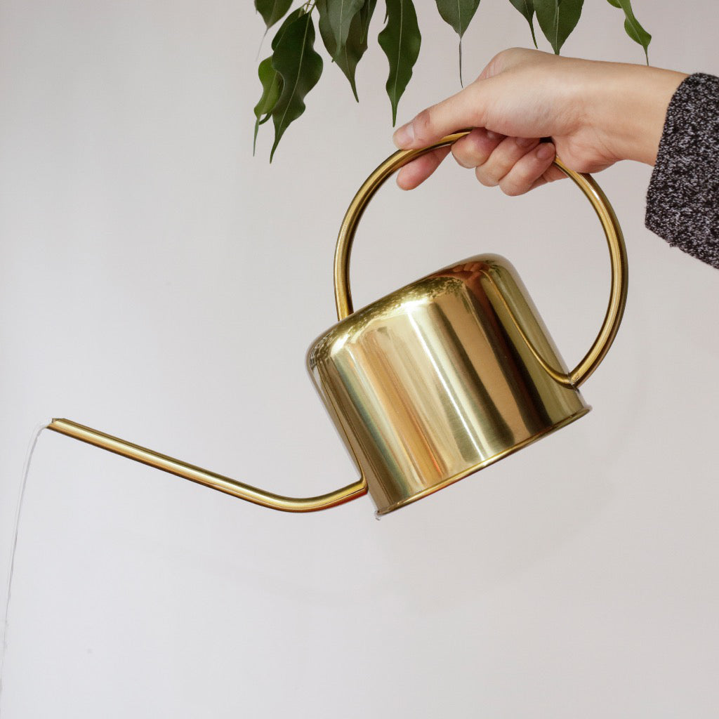 Vintage Watering Can Lifestyle