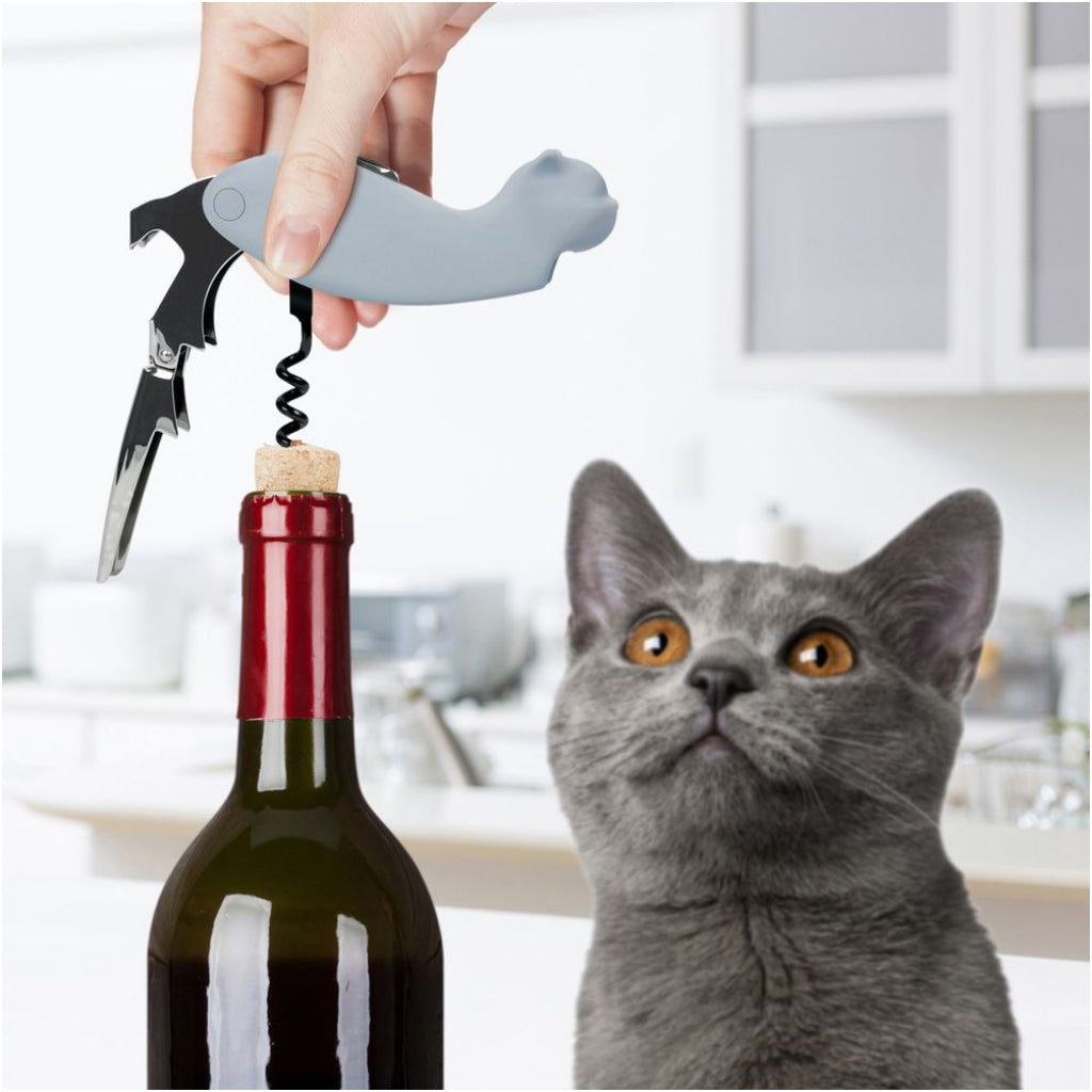 cat looking at cat corkscrew