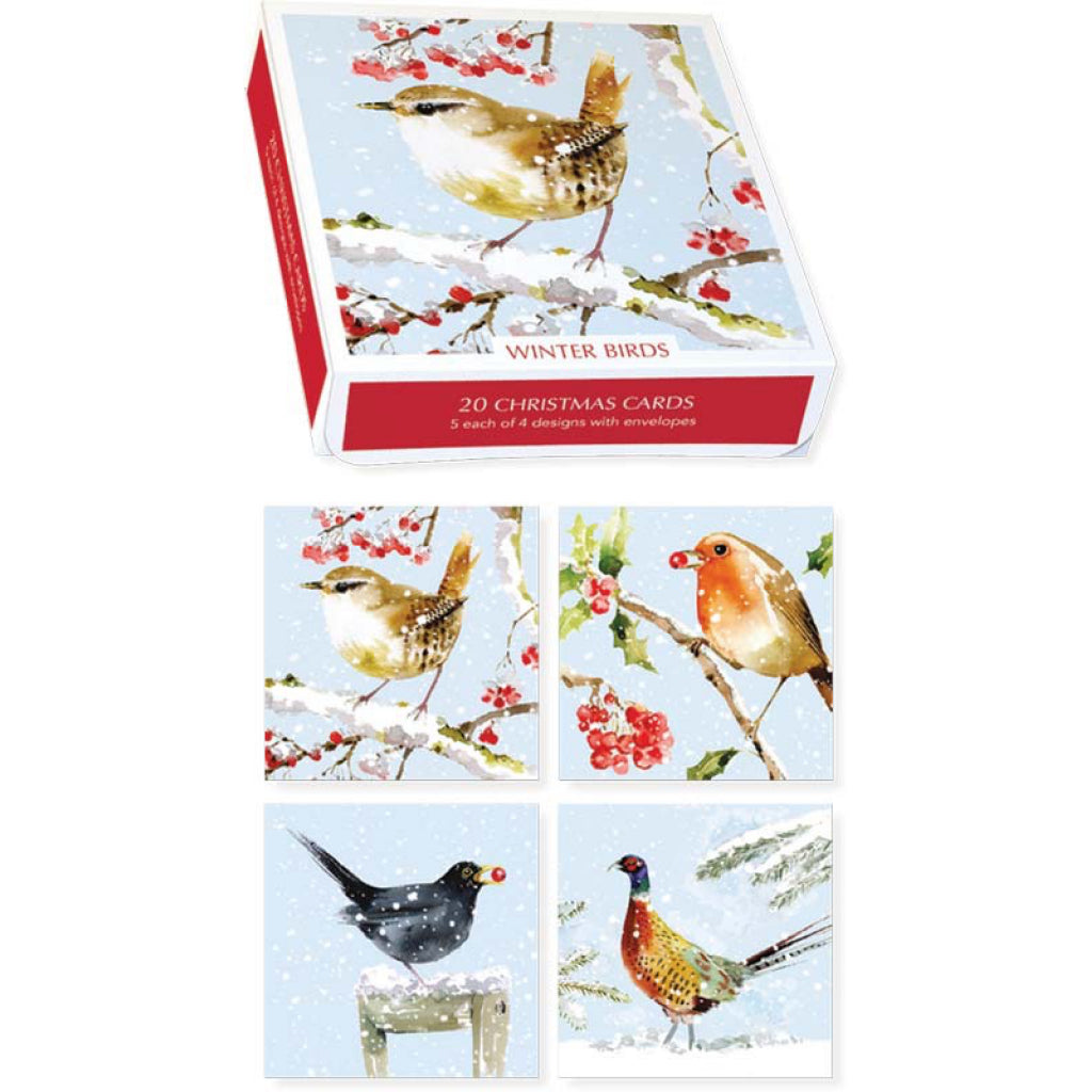 Winter Birds Boxed Holiday Cards