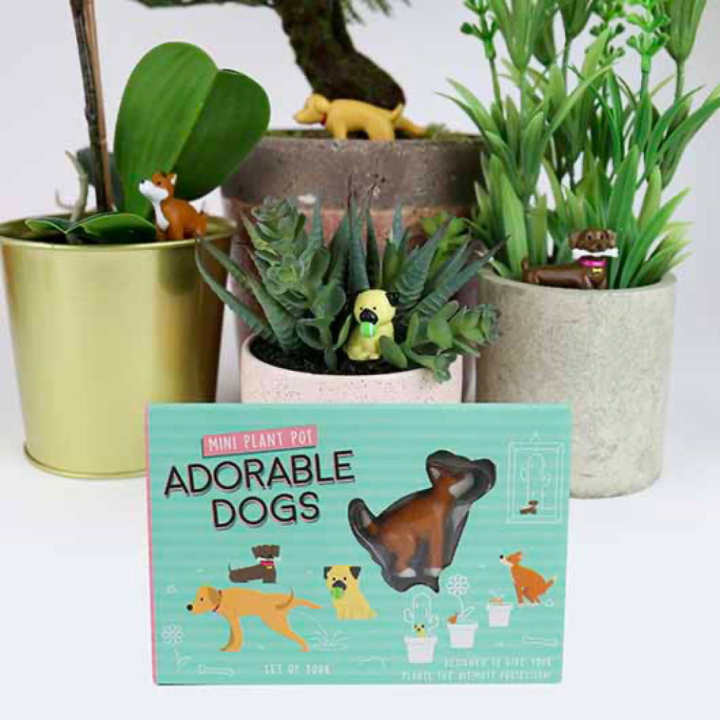 Adorable Dogs Plant Markers with packaging.