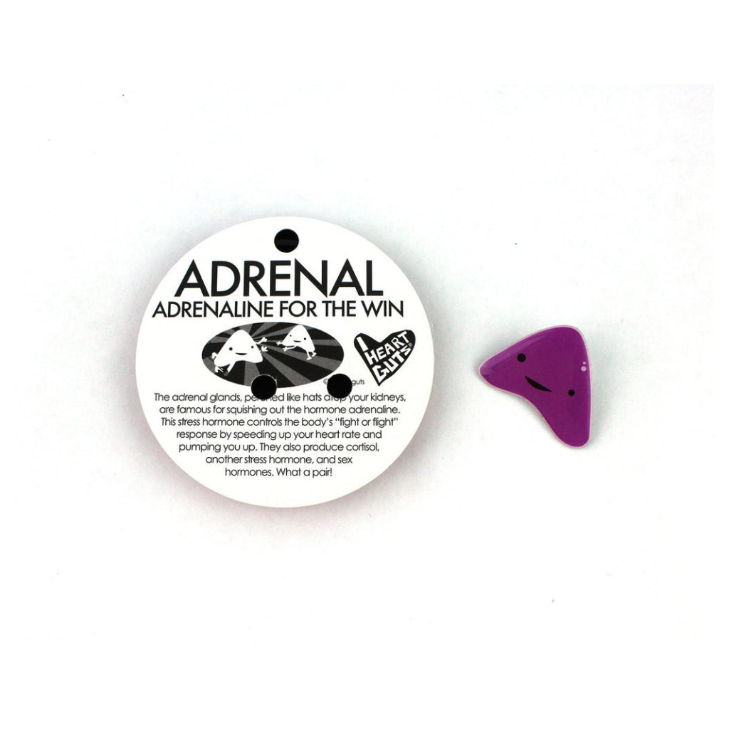 Adrenal Lapel Pin Info.