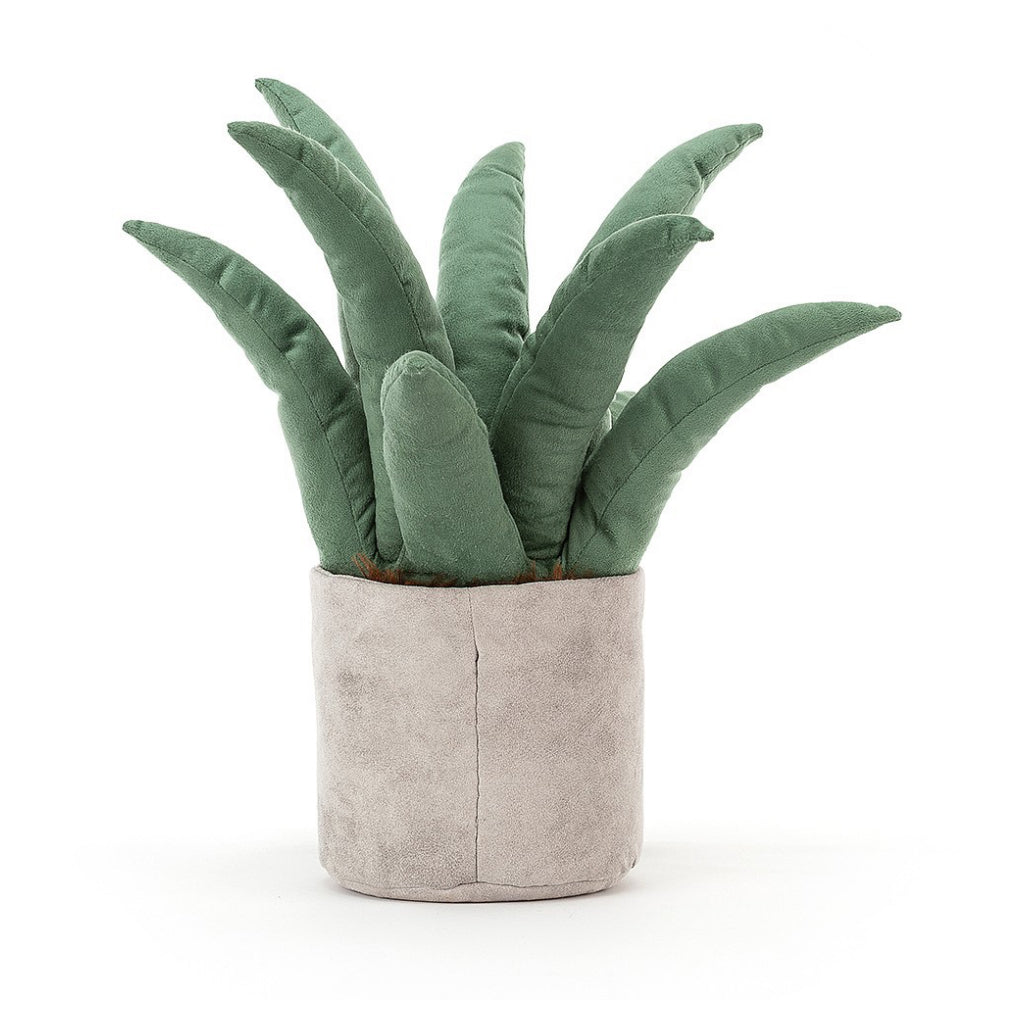 Amuseable Aloe Vera Plant Large Back