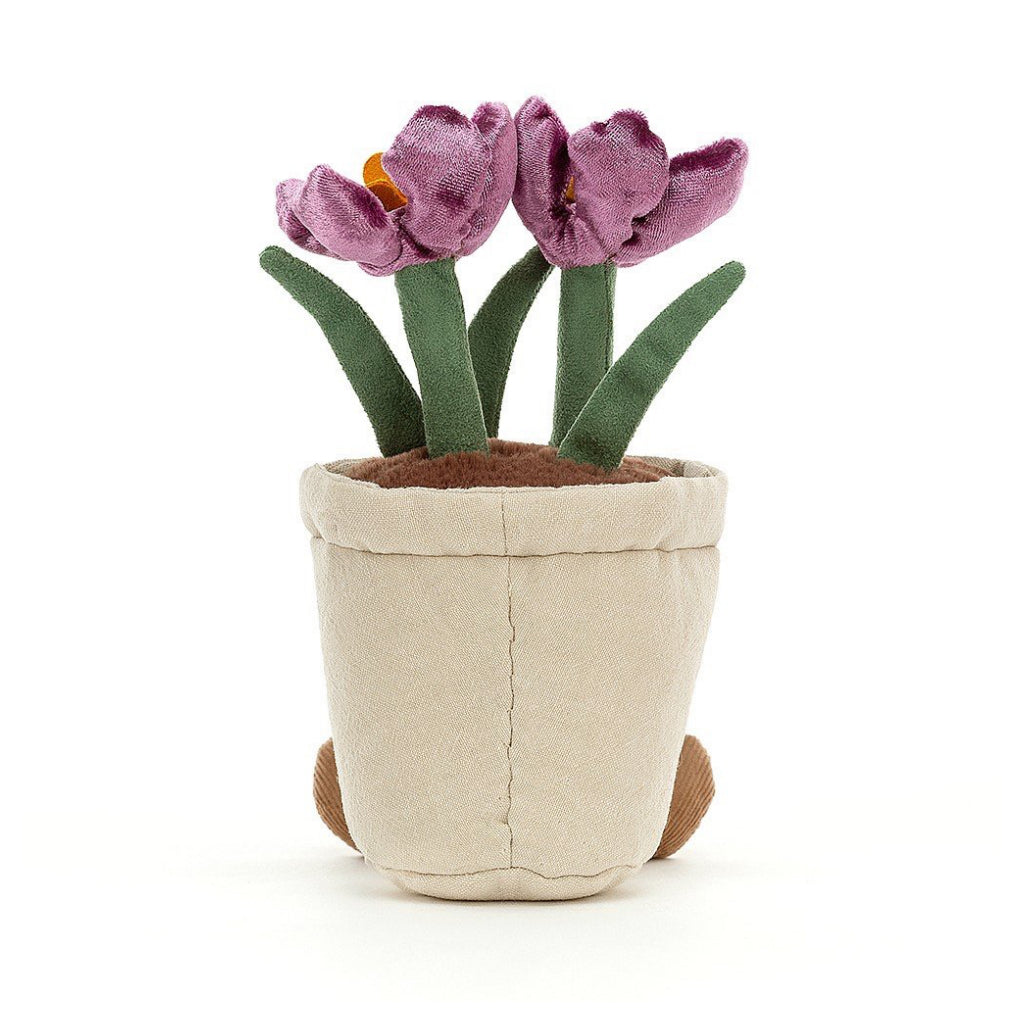 Amuseable Crocus Back