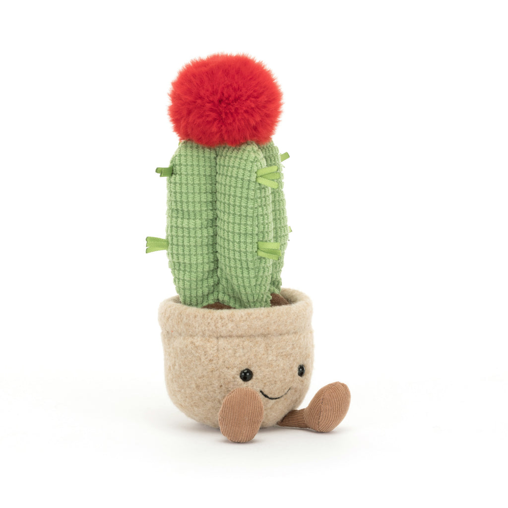 Amuseable Moon Jellycat Cactus.