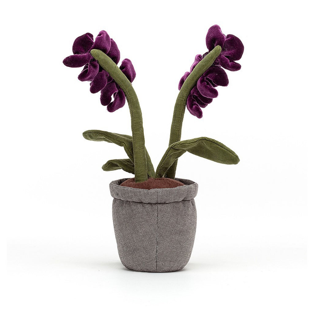 Amuseable Purple Orchid Back