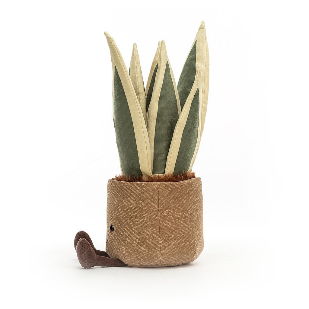 Amuseable Snake Plant Side