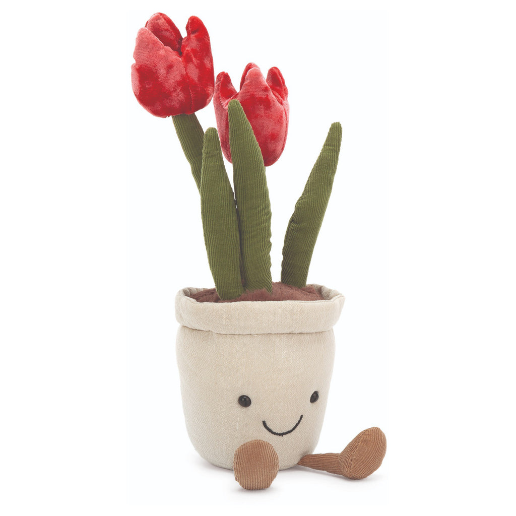 Amuseable Tulip Plant