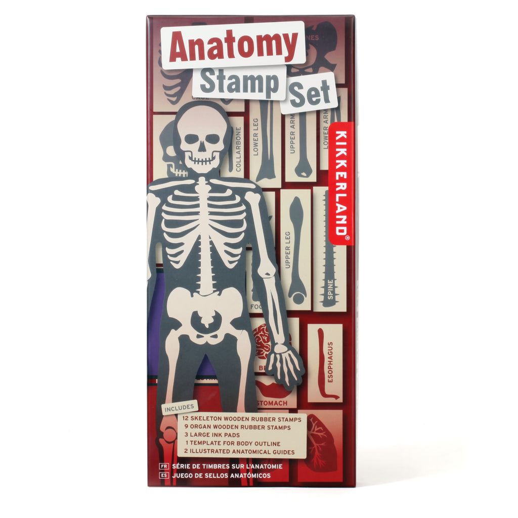 Anatomy Stamp Set packaging.